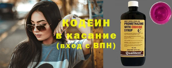 дурь Краснослободск
