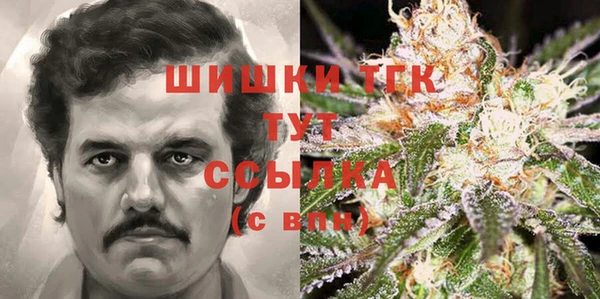 дурь Краснослободск