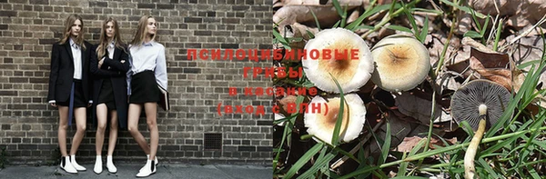 дурь Краснослободск