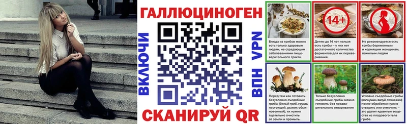 Галлюциногенные грибы Cubensis Купить где Людиново